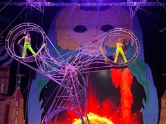 -俄罗斯国家大马戏团