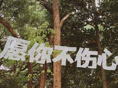 -杭州植物园