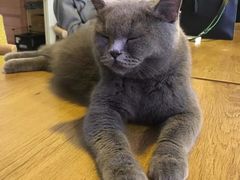 -平行世界·猫咖(首经贸店)
