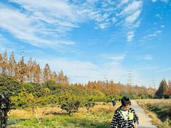 -前小桔亲子创意农场·草莓采摘·露营烧烤