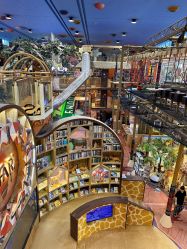 -卡通尼·Safari非洲探索乐园·生日会(金桥国际商业广场店)