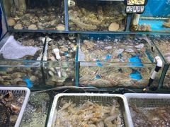 -岳各庄批发市场(西四环中路店)