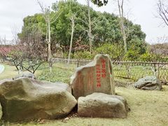 -东方绿舟景区