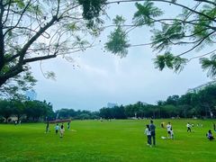 -深圳龙潭公园
