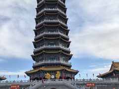 -金塔沙漠胡杨林景区