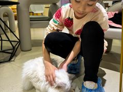 -藏猫猫咖啡主题馆(中央大道店)