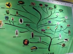 -上海昆虫博物馆