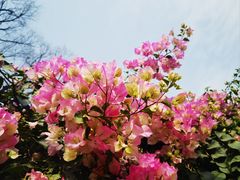 -红螺寺
