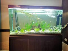 -新悦云SPA足道会所(新体店)