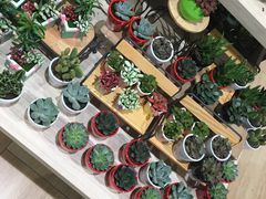 -AEON永旺(东方宝泰店)