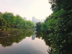 -龙头寺公园