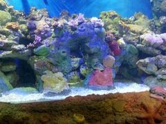 -洛阳龙门海洋馆