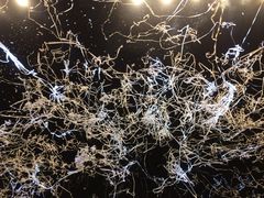 iphone_upload_pic-南京奥林匹克体育中心-体育馆