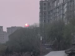 -皇家御河游(紫御湾码头)