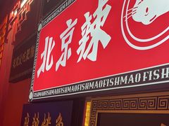-南锣肥猫·麻辣烤鱼·16年现烤现卖(财富购物中心店)