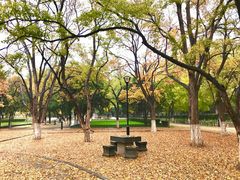 -山东大学(趵突泉校区)