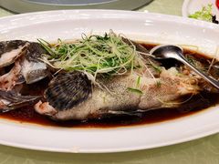 清蒸老虎斑-小白鲨工夫潮膳(曲江店)