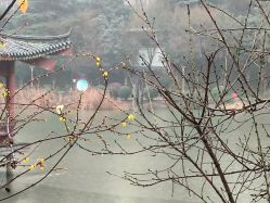 -馨果汇月子产康中心(南湖公园店)