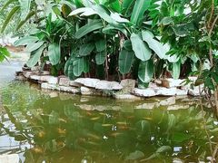 -南通洲际绿博园