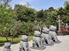 -沈阳市东陵公园