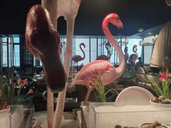 -五月罗马海鲜自助餐厅(陆家嘴店)