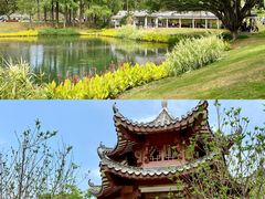 -四海公园(南山区)