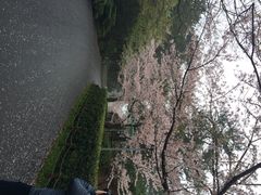 汉拿树木园-汉拿树木园