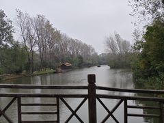 -溱湖国家湿地公园