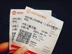 -AMG海上明珠影城(上海环球港RealDCinema店)
