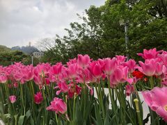-南山植物园
