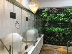 -糯米喵星人总部直营旗舰店·猫舍·幼猫出售
