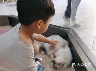 很快就已经八月中旬咯，你有带家里的娃出去玩乐吗~经常