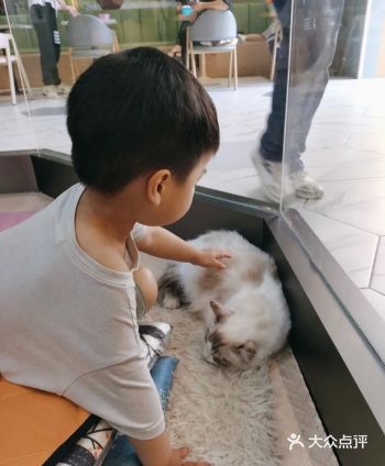 很快就已经八月中旬咯,你有带家里的娃出去玩乐吗~经常