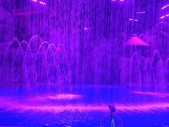 -芜湖新华联大白鲸海洋公园