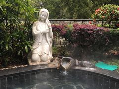 -明月山天沐温泉度假村