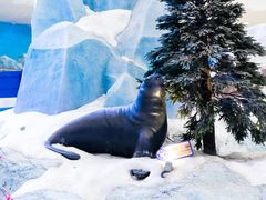 -湘江欢乐城欢乐雪域