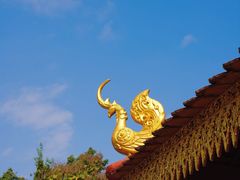 -西双版纳总佛寺