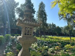 -洛阳白马寺