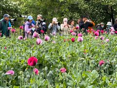 -国家植物园南园