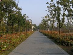 景点-八大山人梅湖景区