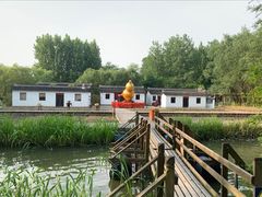 -溱湖国家湿地公园