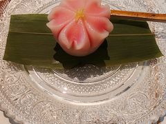 -觀芷隐轩