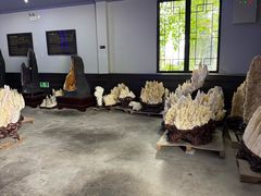 -游龙石文化科普馆