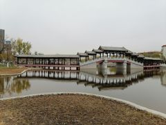 -西海子公园