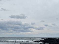 -涉地可支
