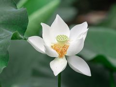 -大宁公园