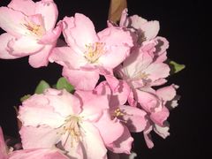 -天鹅湖体育公园