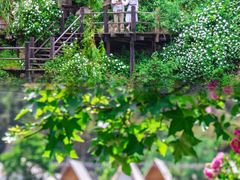 -九如山休闲旅游度假区