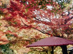 -三千院