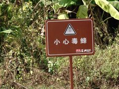 -芒洲湿地公园